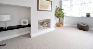 Deep Carpet Cleaning Services