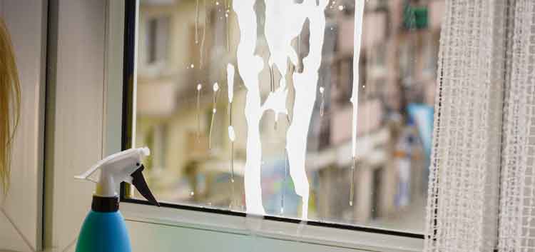 How To Clean Windows For A Spotless Finish