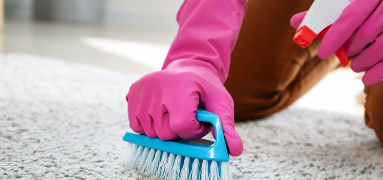 Best Ways To Deep Clean Every Room In Your Home